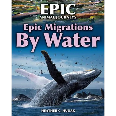 Epic Migrations by Water