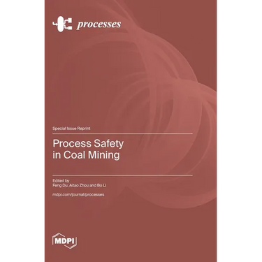 Process Safety in Coal Mining