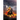 The King Shivaji Chronicles - Resurgence of The Oppressed - Volume 1