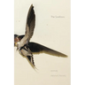 The Swallows