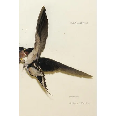 The Swallows