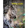 Walking Awake: The Faces in Nature