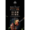 The Wood Pellet Smoker and Grill 2 Cookbooks in 1: Slow Fire