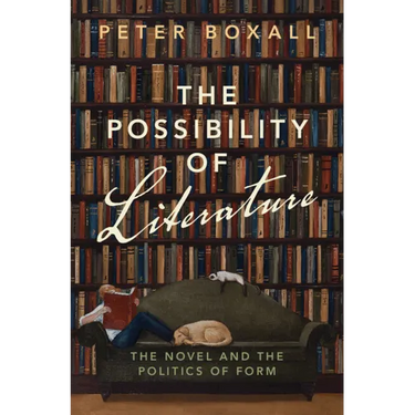 The Possibility of Literature: The Novel and the Politics of Form