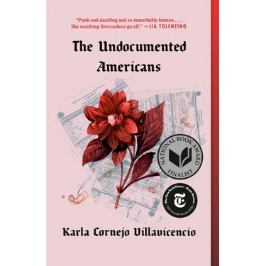 The Undocumented Americans