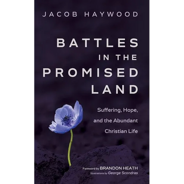 Battles in the Promised Land: Suffering, Hope, and the Abundant Christian Life