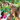 The Fig Tree: A Story about Building Friendship and Peace in Cyprus