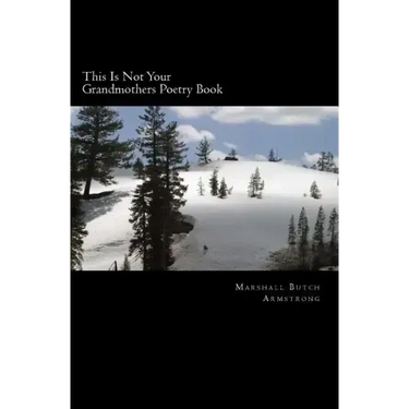 This Is Not Your Grandmothers Poetry Book