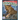 Leopards