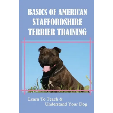 Basics Of American Staffordshire Terrier Training: Learn To Teach & Understand Your Dog: Are American Staffordshire Terriers Easy To Train