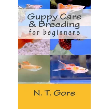Guppy Care & Breeding for Beginners