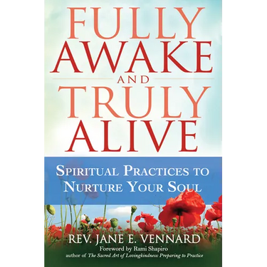 Fully Awake and Truly Alive: Spiritual Practices to Nurture Your Soul