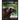 My Favorite Animal: Wolverines