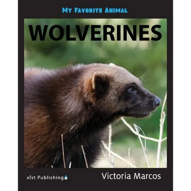 My Favorite Animal: Wolverines