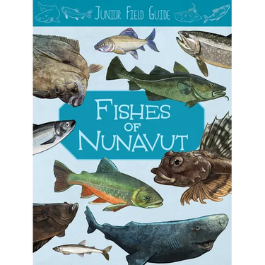 Junior Field Guide: Fishes of Nunavut: English Edition