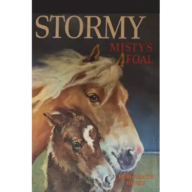 Stormy, Misty's Foal