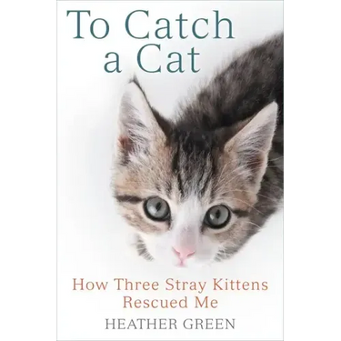 To Catch a Cat: How Three Stray Kittens Rescued Me