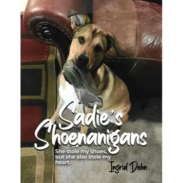 Sadie's Shoenanigans