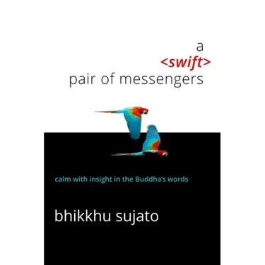 A Swift Pair of Messengers