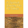 A Spiritual Journey Into The Future