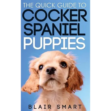 The Quick Guide to Cocker Spaniel Puppies