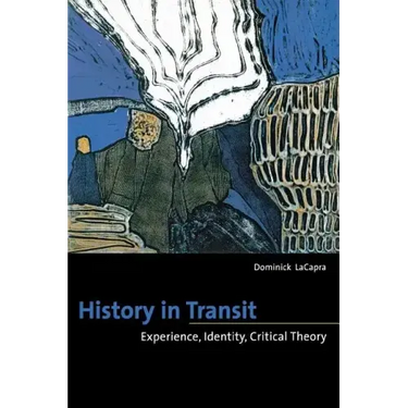 History in Transit: Experience, Identity, Critical Theory