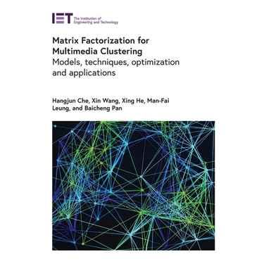 Matrix Factorization for Multimedia Clustering: Models, Techniques, Optimization and Applications