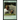 In Mortuary Science and the Funeral Industry