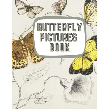 Learning About Butterflies: Illustrations of Butterflies & Moths
