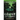 Ghost in Trouble: A Mystery