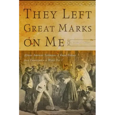 They Left Great Marks on Me: African American Testimonies of Racial Violence from Emancipation to World War I