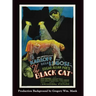 The Black Cat (hardback)