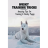 Husky Training Tricks: Amazing Tips On Training A Husky Puppy: Some Tips On Training A Husky