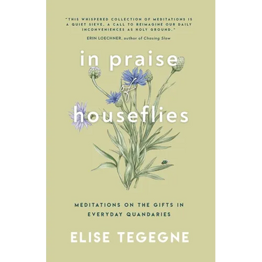 In Praise of Houseflies: Meditations on the Gifts in Everyday Quandaries