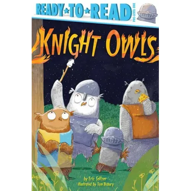 Knight Owls: Ready-To-Read Pre-Level 1