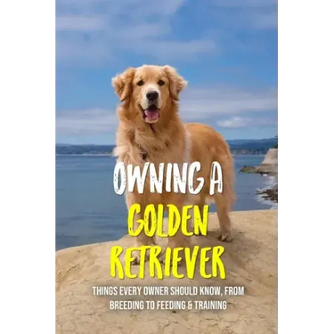 Owning A Golden Retriever: Things Every Owner Should Know, From Breeding To Feeding & Training: The Best Breeding Practices For Golden Retrievers