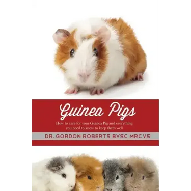 Guinea Pigs: How to care for your Guinea Pig and everything you need to know to keep them well