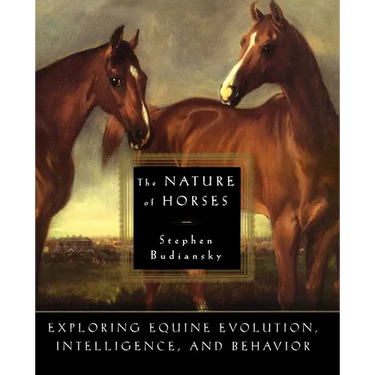 The Nature of Horses