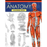 The Anatomy Coloring Book: A Complete Study Guide (9th Edition)