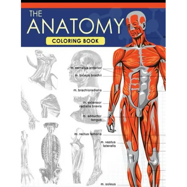 The Anatomy Coloring Book: A Complete Study Guide (9th Edition)