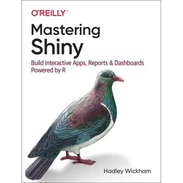 Mastering Shiny: Build Interactive Apps, Reports, and Dashboards Powered by R