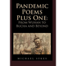 Pandemic Poems Plus One: From Wuhan to Bucha and Beyond