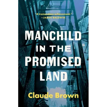 Manchild in the Promised Land