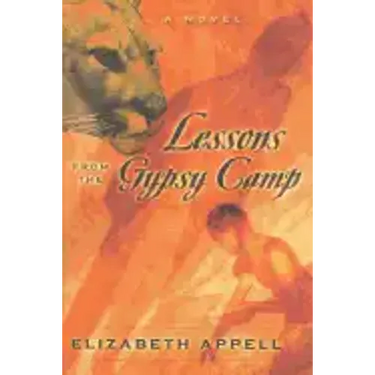 Lessons from the Gypsy Camp: Consequences