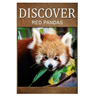 Red Pandas - Discover: Early reader's wildlife photography book