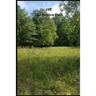 Off The Beaten Path: 4 year Blood Glucose Tracker