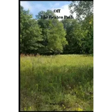 Off The Beaten Path: 4 year Blood Glucose Tracker