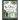 In the Land of Cattawampus: the Complete Exploration of Bigfoot Creatures in West Virginia