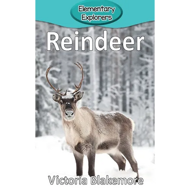 Reindeer