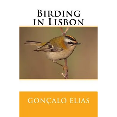 Birding in Lisbon